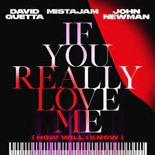 David Guetta MistaJam John Newman - If You Really Love Me (How Will I Know)