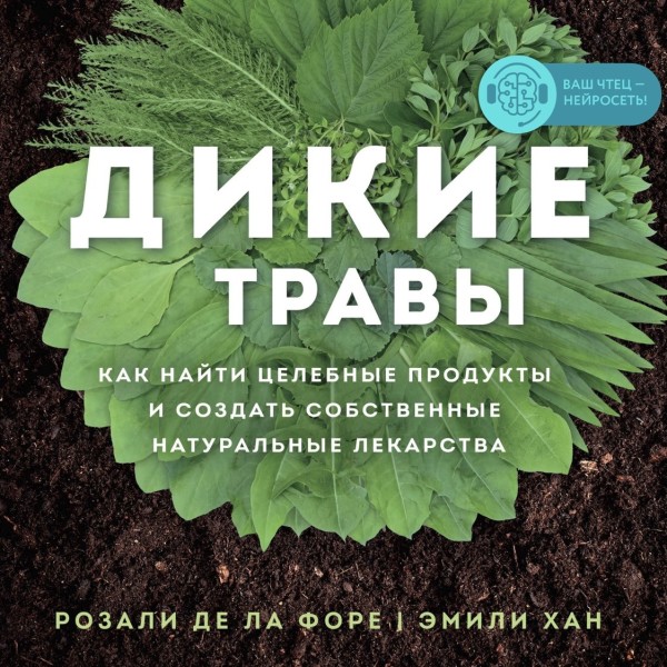 Дикие травы: как найти целебные продукты и создать собственные натуральные лекарства